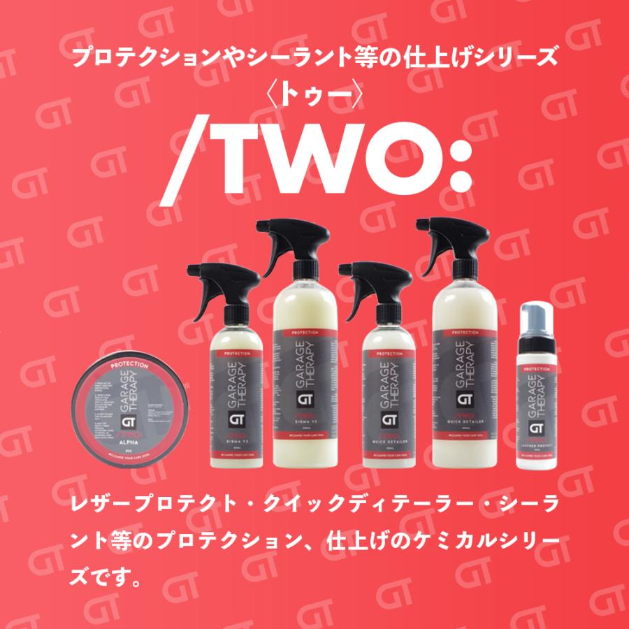 ガレージセラピー /TWO: アルファ ワックス 日本正規品 洗車 洗浄 ディ 