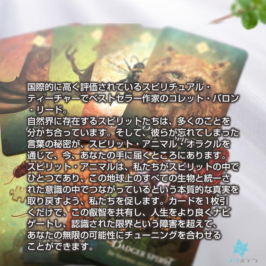 スピリット アニマル オラクル 英語版 初心者向けガイドブック スピリット アニマル オラクル 英語版 初心者向けガイドブック
