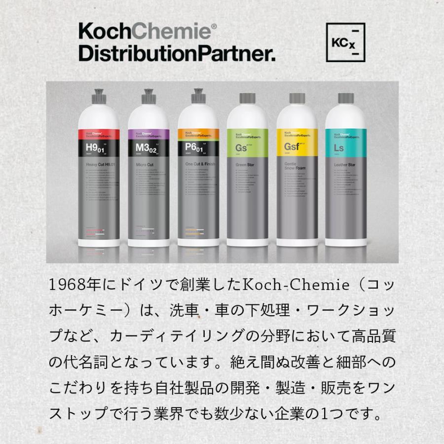 KochChemie コッホケミー Gs グリーンスター 1L KJ25001 前処理 泡洗車