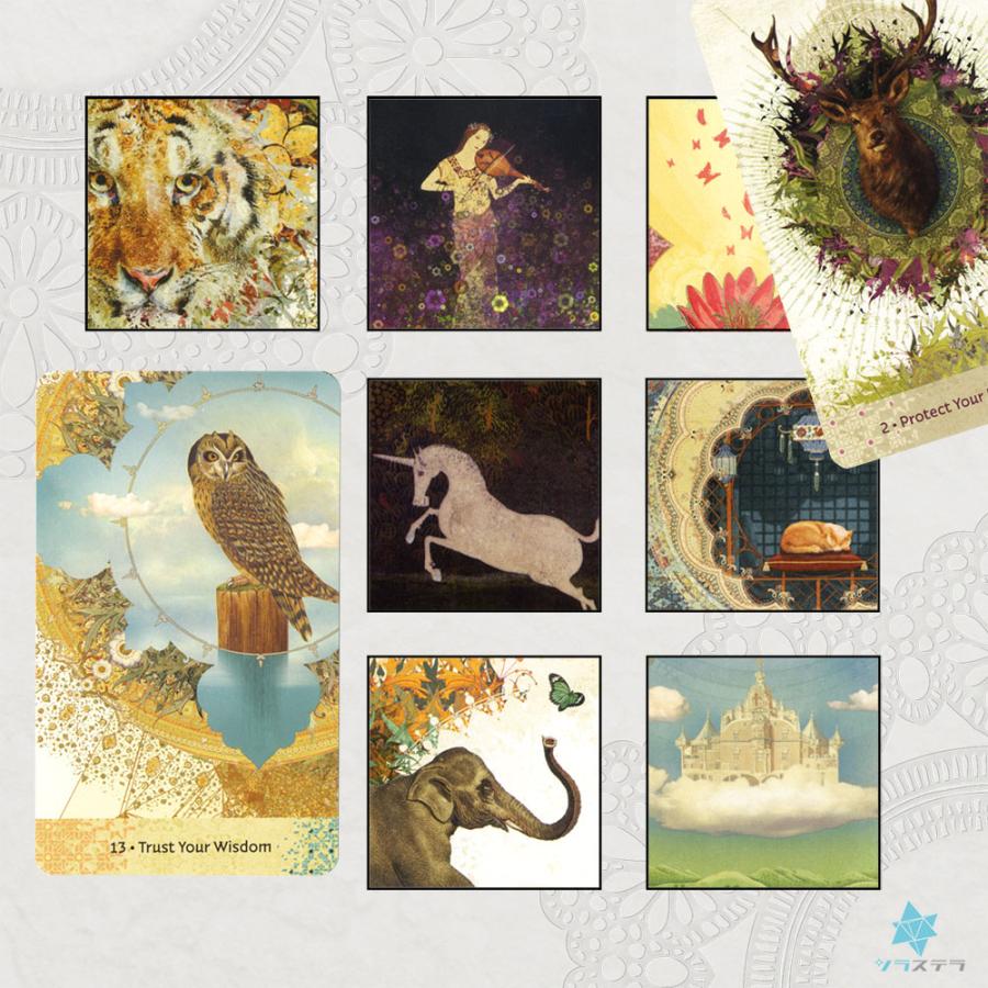 ★正規品オラクルカード★神秘的な世界観✨海外入手困難品✨美しい鳥達のデッキ 正規品オラクルカード 神秘的な世界観 海外品 美しい鳥達のデッキ 正規