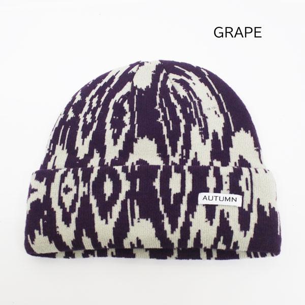 25-26モデル AUTUMN オータム スノーボード スキー ユニセックス