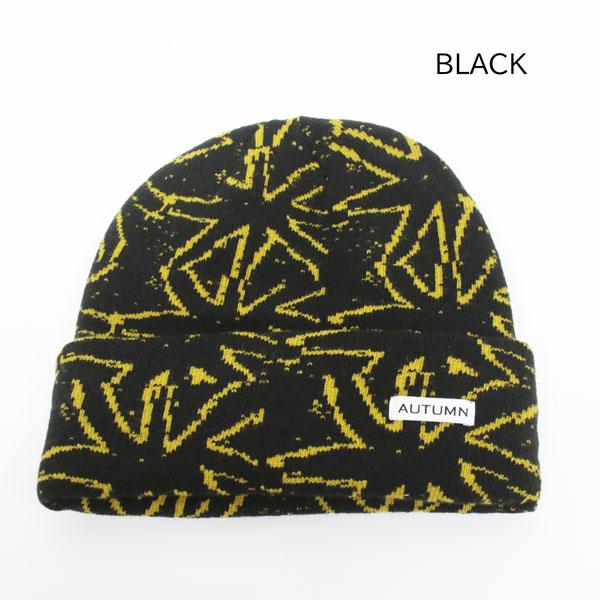 25-26モデル AUTUMN オータム スノーボード スキー ユニセックス