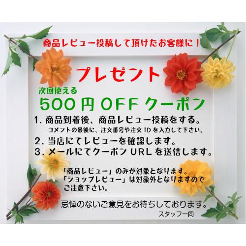 有孔ボード 突っ張り パンチングボード スチール 壁面ディスプレイ