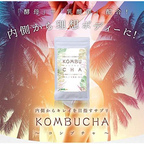 シードコムス コンブチャ KOMBUCHA サプリメント 酵素 ダイエット 紅茶キノコ (約3ヵ月分 90粒)|stella-mercato|02