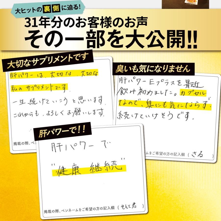 肝パワーEプラス1袋 牡蠣 亜鉛 にんにく 健康 サプリ サプリメント