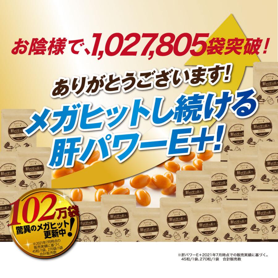 肝パワーEプラス1袋 牡蠣 亜鉛 にんにく 健康 サプリ サプリメント