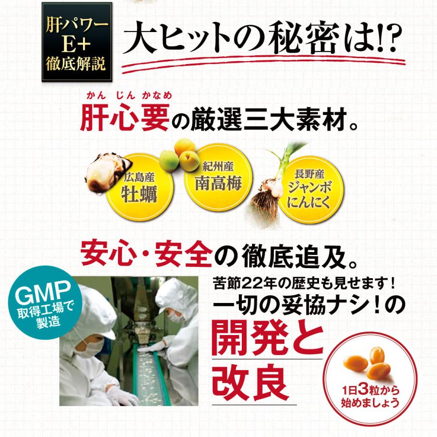 肝パワーEプラス1袋 牡蠣 亜鉛 にんにく 健康 サプリ サプリメント 