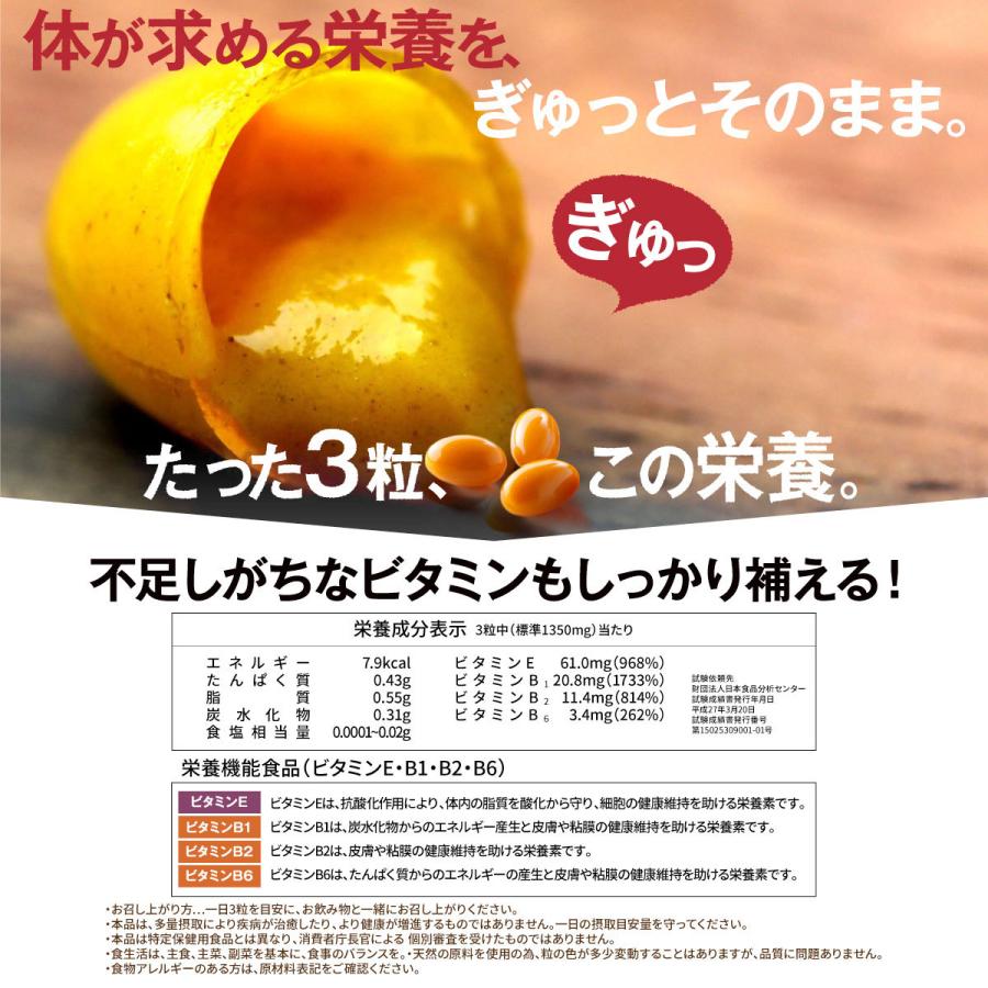 肝パワーEプラス6袋 牡蠣 亜鉛 にんにく 健康 サプリ サプリメント