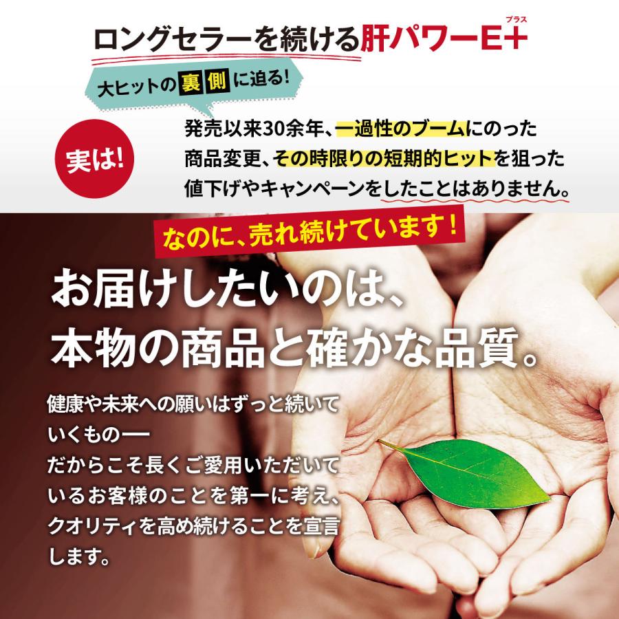 肝パワーEプラス6袋 牡蠣 亜鉛 にんにく 健康 サプリ サプリメント