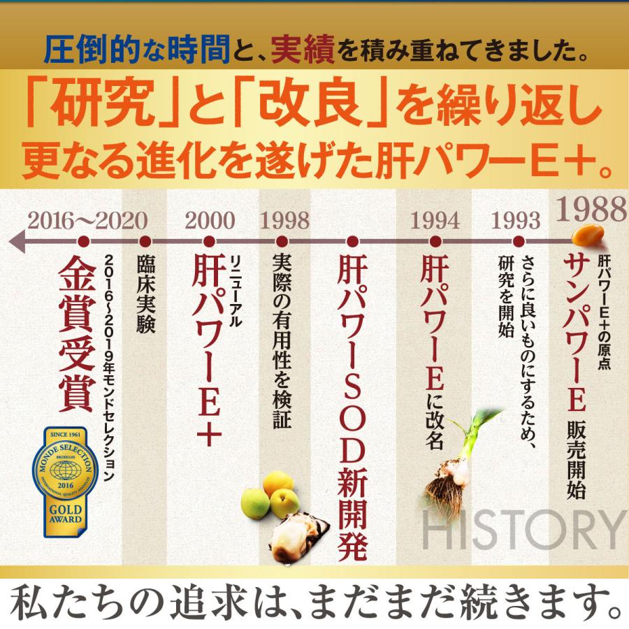 肝パワーEプラス6袋 牡蠣 亜鉛 にんにく 健康 サプリ サプリメント