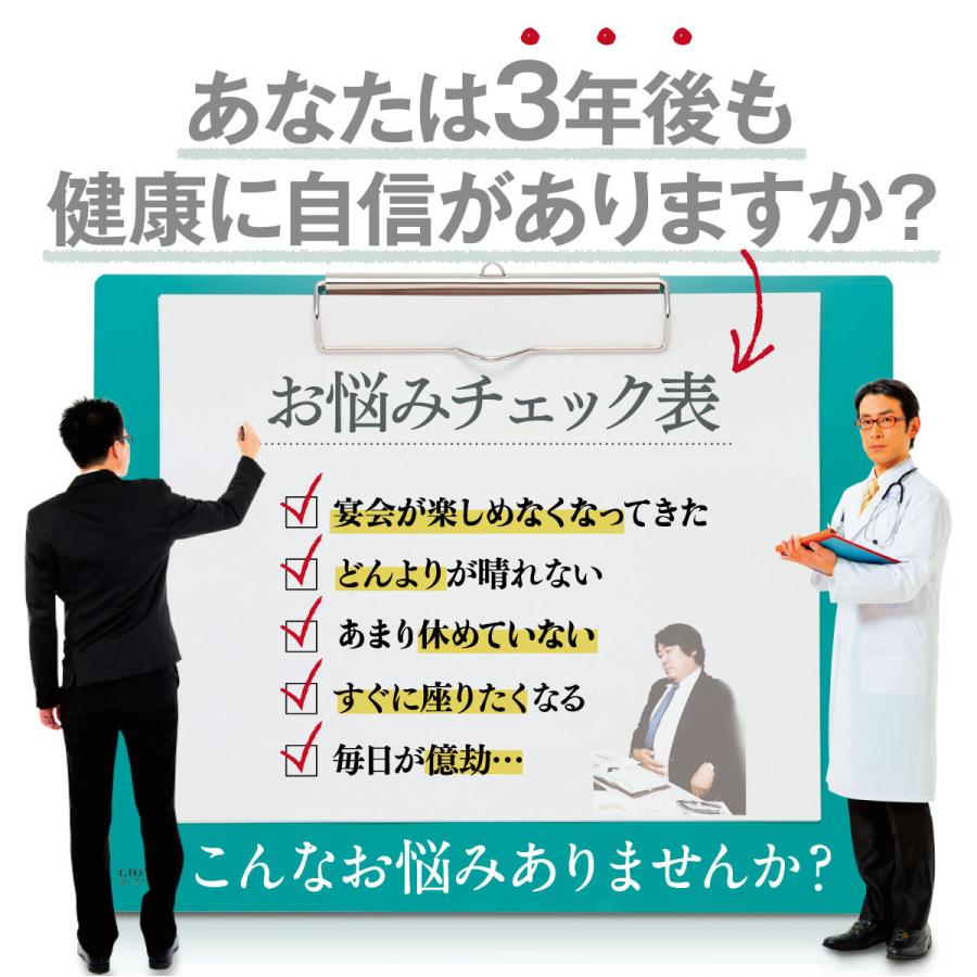 肝パワーEプラス　3袋 楽天市場】ロングセラー ニンニク サプリ 送料無料 牡蠣 梅 国産