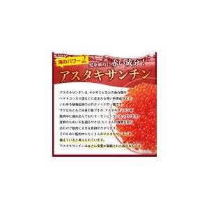 オルニパワー ZNプラス オルニチン しじみ 牡蠣 亜鉛 サプリ