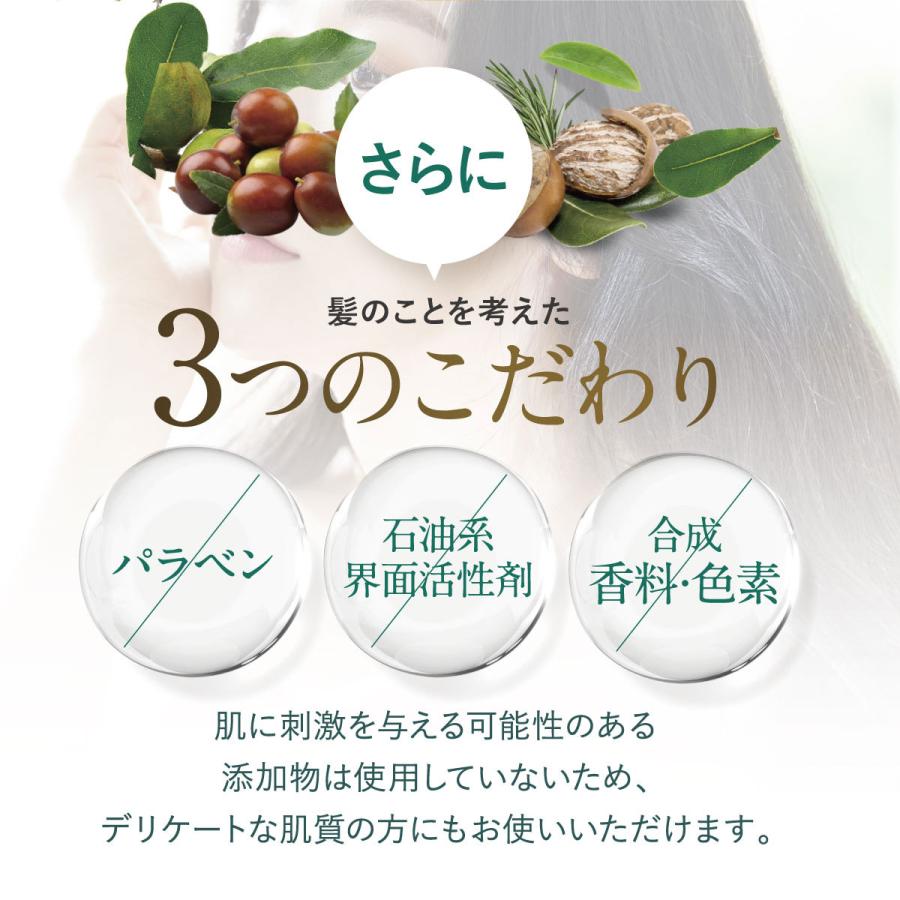GRACE SEED STELLA 炭酸 スパークリング シャンプー ボタニカル