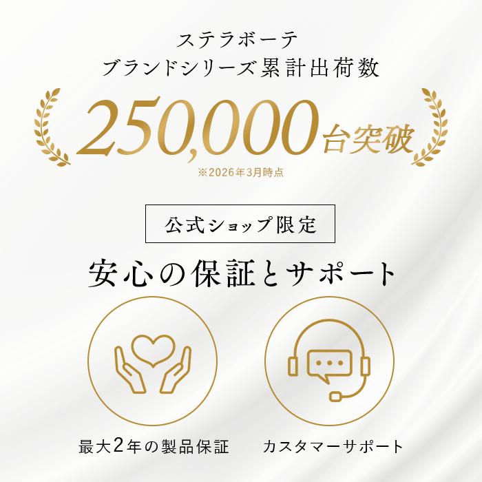 STELLA BEAUTE（ステラボーテ） Beauty Face Stick Rin EMS美顔器 目元