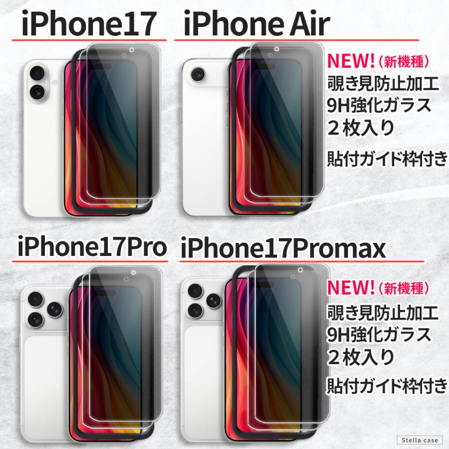 2枚入 ガイド枠付 iPhone SE3 SE2 SE ガラスフィルム 覗き見防止 11 12