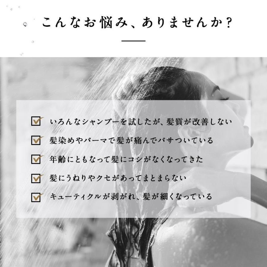 シャンプー エイトザタラソ 8 THE THALASSO ミニヘアマスク付き限定 シャンプー エイトザタラソ 8 THE THALASSO ミニヘアマスク付き限定