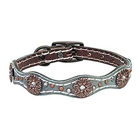 Weaver Pet Savannah Dog Collar Brown/Metallic Turquoise， 1 X 21-Inch