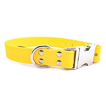 Auburn Leathercrafters(オーバーンレザークラフターズ) 首輪 犬 大型犬 SPARKYS CHOICE COLLAR 太さ:2