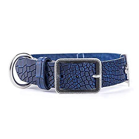 My Family Dog Collar Premium Quality Italian Textured Leather Handmade in I