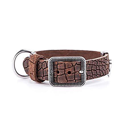My Family Dog Collar Premium Quality Italian Textured Leather Handmade in I