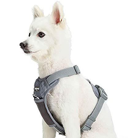 Blueberry Pet Soft  Comfy Reflective Mesh Padded No Pull Dog Harness Vest