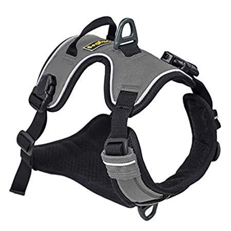 OllyDog Alpine Dog Harness, Chest and Back Leash Clips, Padded, Reflective,