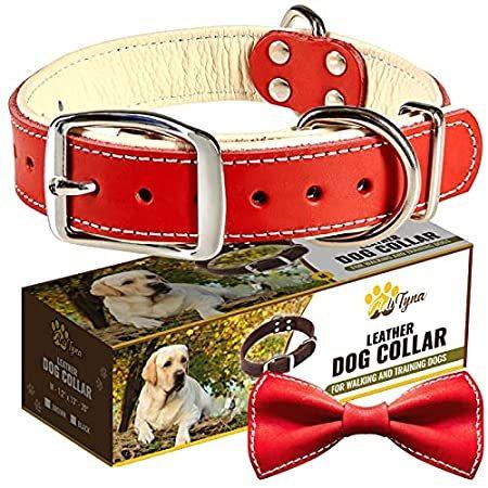 Padded Red Leather Dog Collar Soft and Strong Dog Collars for