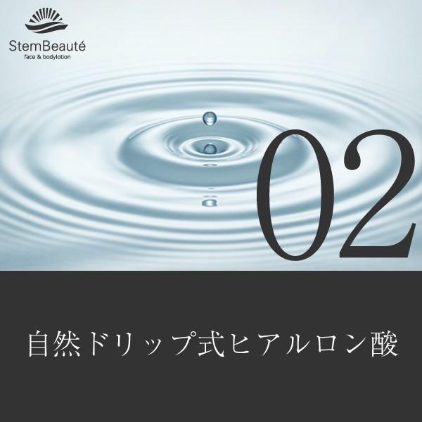 StemBeaute special set (ローション80ml)(body&facelotion 80ml×booster gel 150ml)約1ヶ月分 ※顔の使用で |  | 02