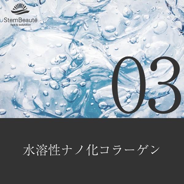 StemBeaute special set (ローション80ml)(body&facelotion 80ml×booster gel 150ml)約1ヶ月分 ※顔の使用で |  | 03