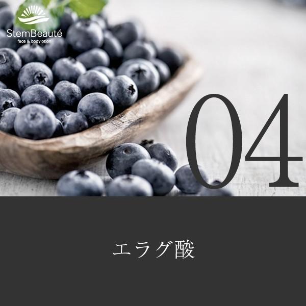 StemBeaute special set (ローション80ml)(body&facelotion 80ml×booster gel 150ml)約1ヶ月分 ※顔の使用で |  | 04