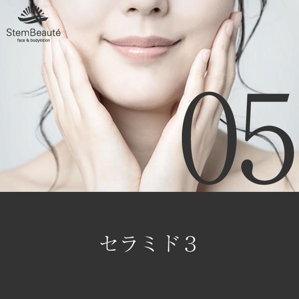 StemBeaute special set (ローション80ml)(body&facelotion 80ml×booster gel 150ml)約1ヶ月分 ※顔の使用で |  | 05