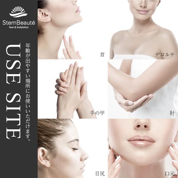StemBeaute(ステムボーテ)face&bodylotion(フェイス アンド StemBeaute(ステムボーテ)face&bodylotion(フェイス アンド