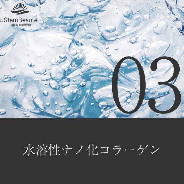 StemBeaute(ステムボーテ)face&bodylotion(フェイス アンド StemBeaute(ステムボーテ)face&bodylotion(フェイス アンド