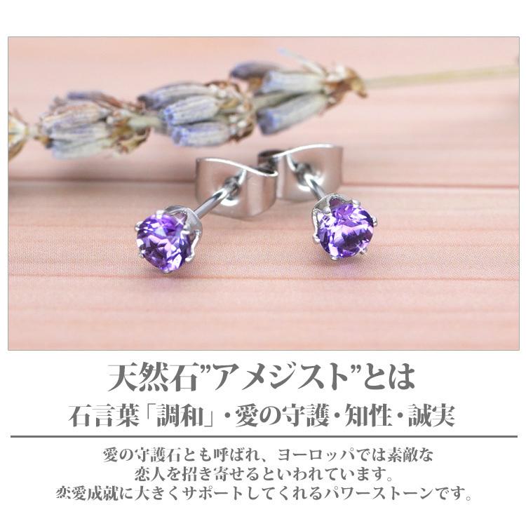 金属アレルギー対応 ステンレスピアス レディース 2月の誕生石 4mm