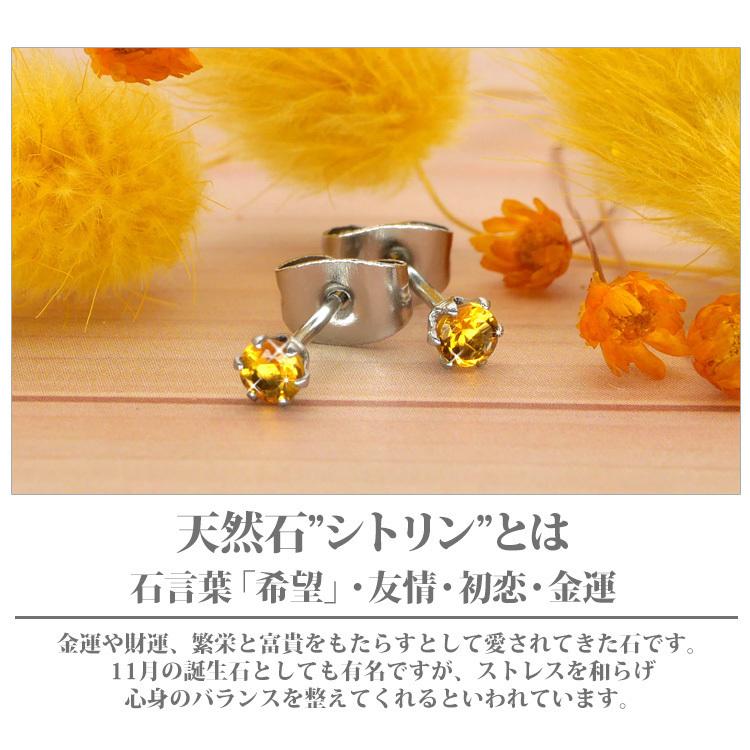 セカンドピアス つけっぱなし 金属アレルギー対応 サージカル