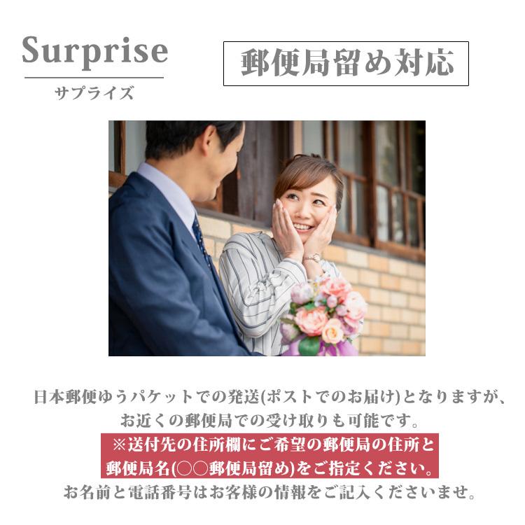 セカンドピアス 金属アレルギー対応 サージカルステンレス つけっぱなし 天然ダイヤモンド 0.25ct ステンレスピアスの画像