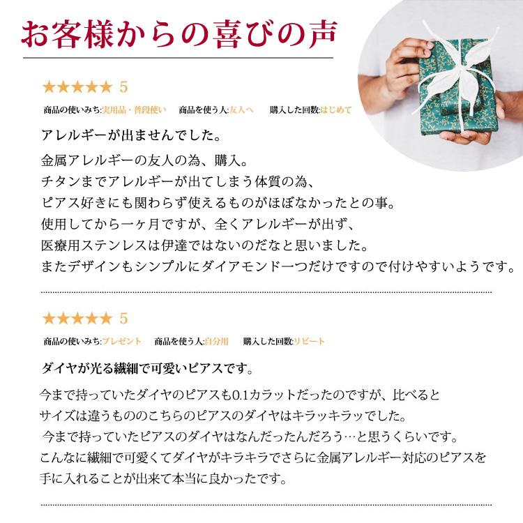 セカンドピアス 金属アレルギー対応 サージカルステンレス つけっぱなし 天然ダイヤモンド 0.25ct ステンレスピアスの画像