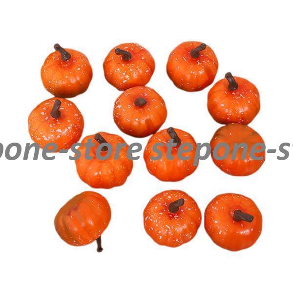 ミニパンプキン 本物そっくりの収穫用カボチャ ハロウィン ホリデー