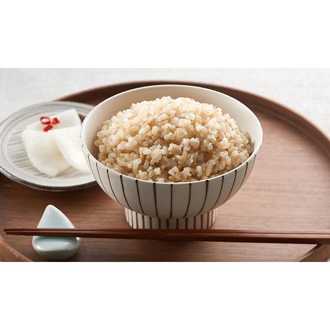 タイガー（TIGER） 海外向け炊飯器 220-230V仕様 タイガーJPV-H10W 5.5