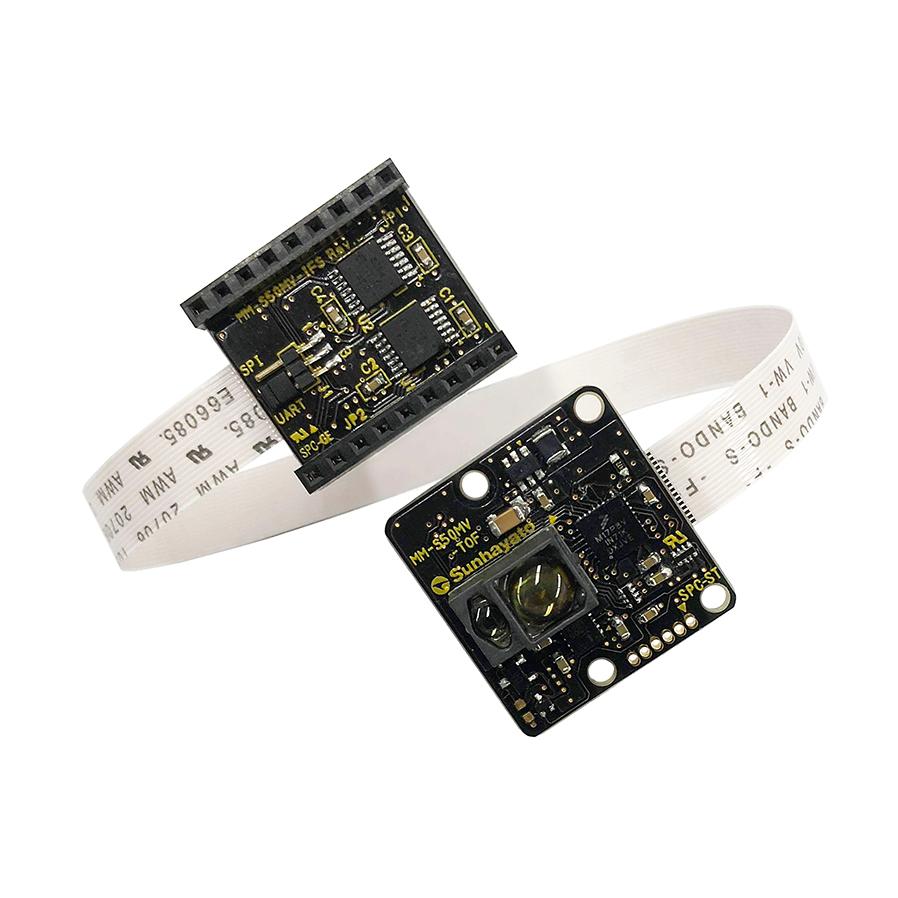 THE HEAD GARDENER 置物 ピーターラビット モルモット 箱入り ピーター