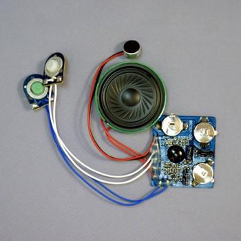 イーケイジャパン ELEKIT（エレキット ）30秒ボイスレコーダー OR-7802 | 