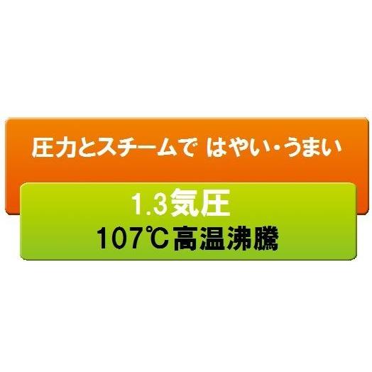 ハイクラス365 海外向け炊飯器 220-230V 日立 RZ-KG18Y-N 圧力