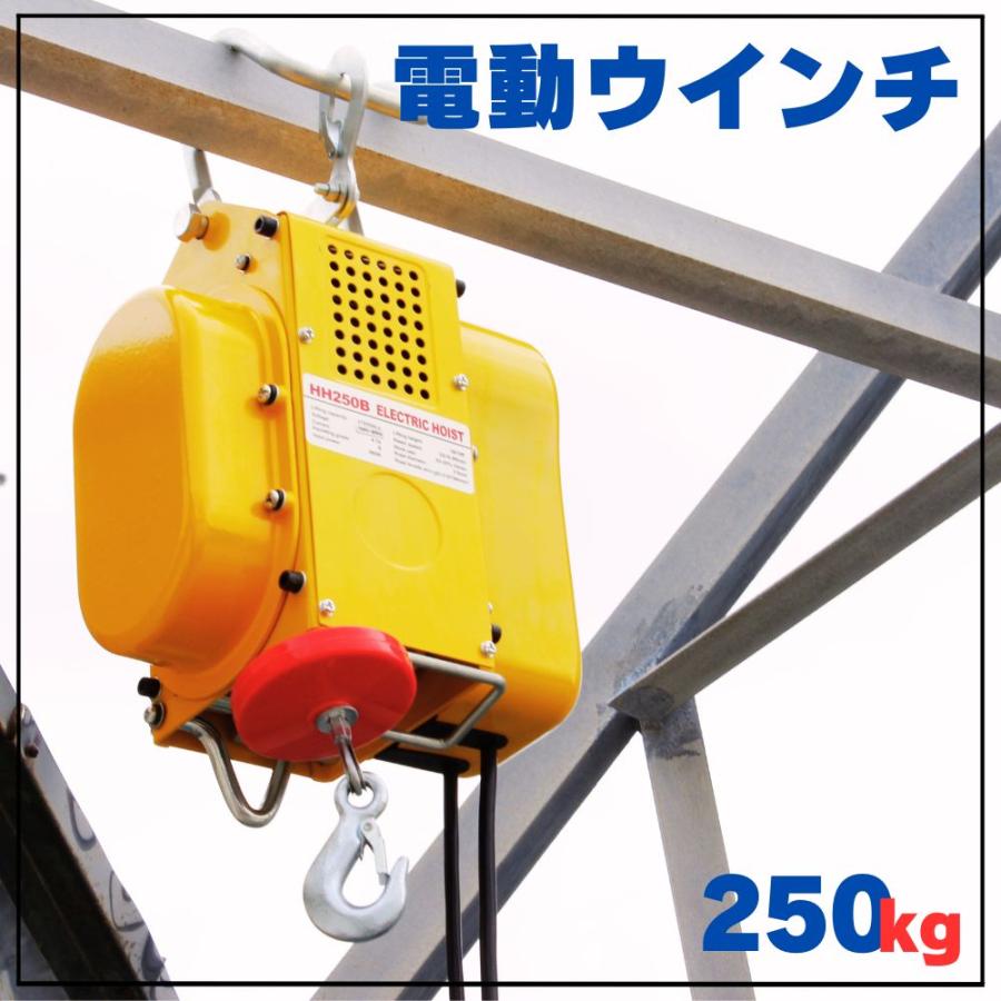 電動ウインチ 100V 50Hz ホイスト 最大能力250kg 家庭用 送料無料