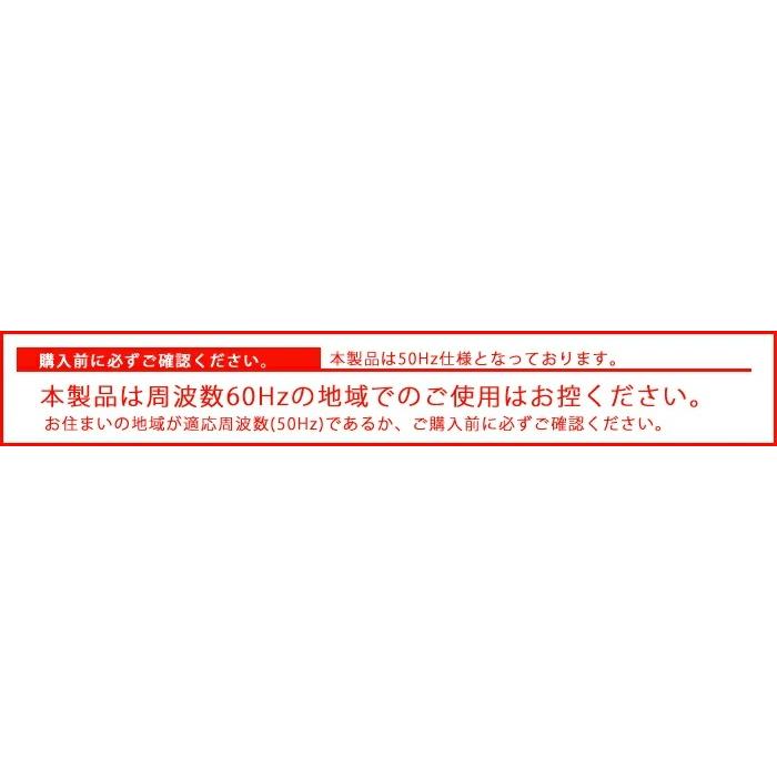 電動ウインチ 100V 50Hz ホイスト 最大能力250kg 家庭用 送料 電動ウインチ 100V 50Hz ホイスト 最大能力250kg 家庭用 送料
