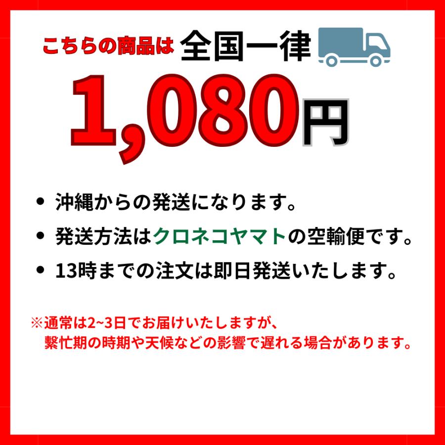 オイル交換 ポンプ 自分で オイルチェンジャー 上抜き 手動式 容量6Ｌ車 バイク 簡易日本語説明書付き 電源不要｜stepforward｜13