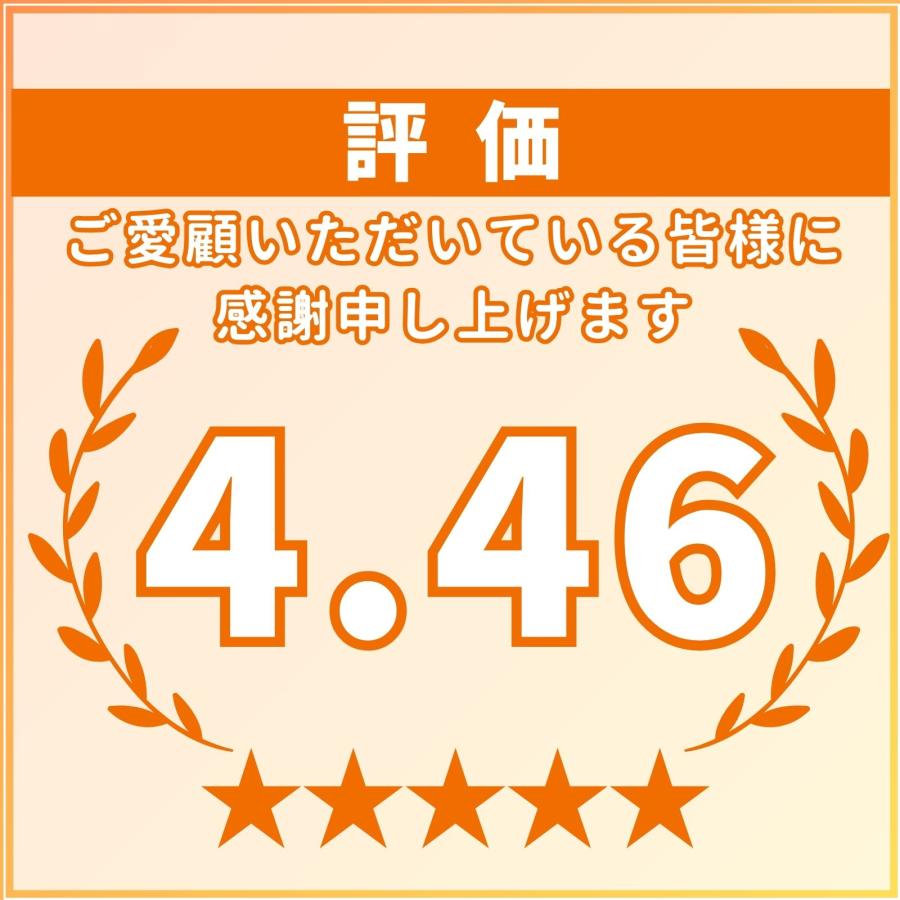 バッテリー テスター  チェッカー チェック オルタネーター 車 12V 診断機 電池 車両　送料無料 ネコポス発送 |  | 04