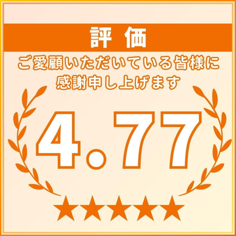 バキュームゲージ 4連 セット 調整 ーター メンテナンス 工具 負圧測定 レギュレーター付 バイク工具 キャブ 同調 |  | 01
