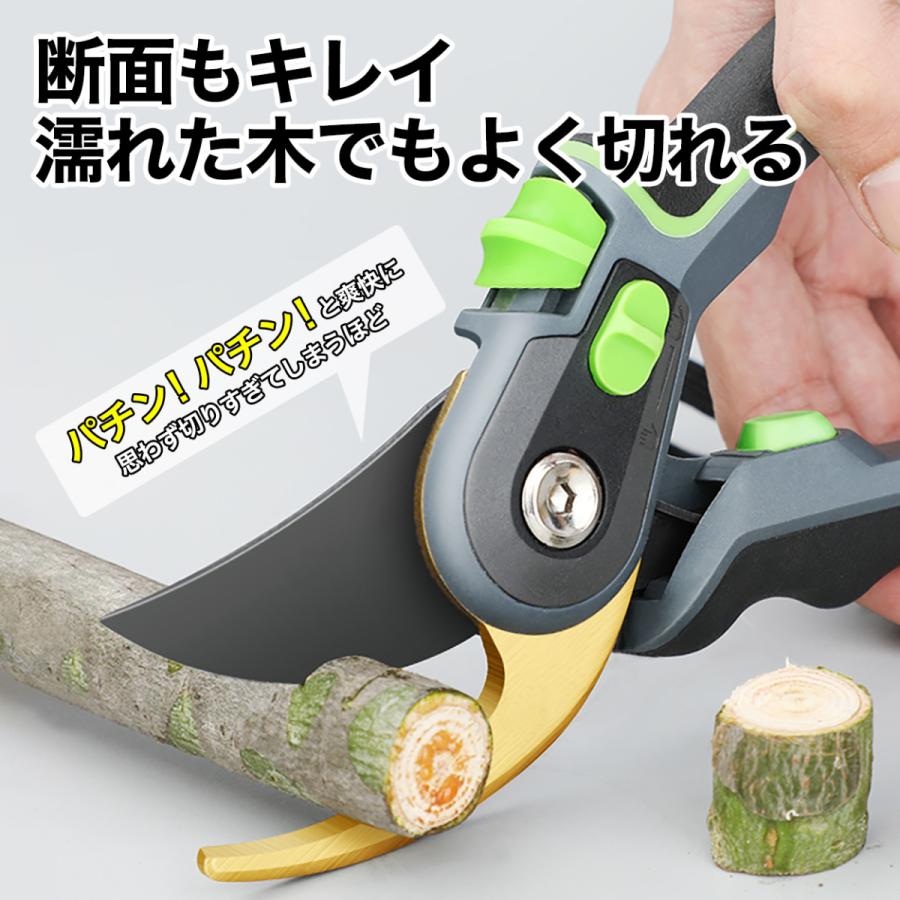 剪定鋏 高級 剪定ばさみ プロ 園芸はさみ バネ 園芸ハサミ 花用 花ばさみ さびない スチール Sk5 園芸用はさみ 小型 剪定 Eb 普段使いの雑貨店 Step One 通販 Yahoo ショッピング