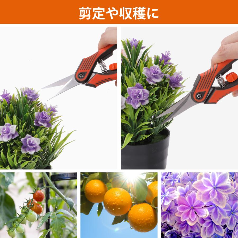 芽切り鋏 芽切鋏 芽切りばさみ 摘果鋏 盆栽鋏 園芸用鋏 剪定鋏 剪定ばさみ 花鋏 花ばさみ 爆買 |  | 02