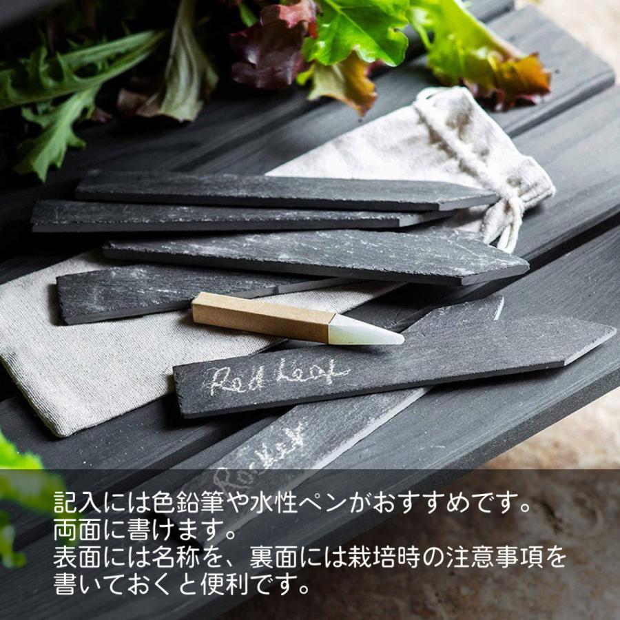 594円 クリスマスファッション 園芸ラベル おしゃれ 15cm 黒 10枚 立て札 立型 オリジナル 巾着袋付 取扱説明書付